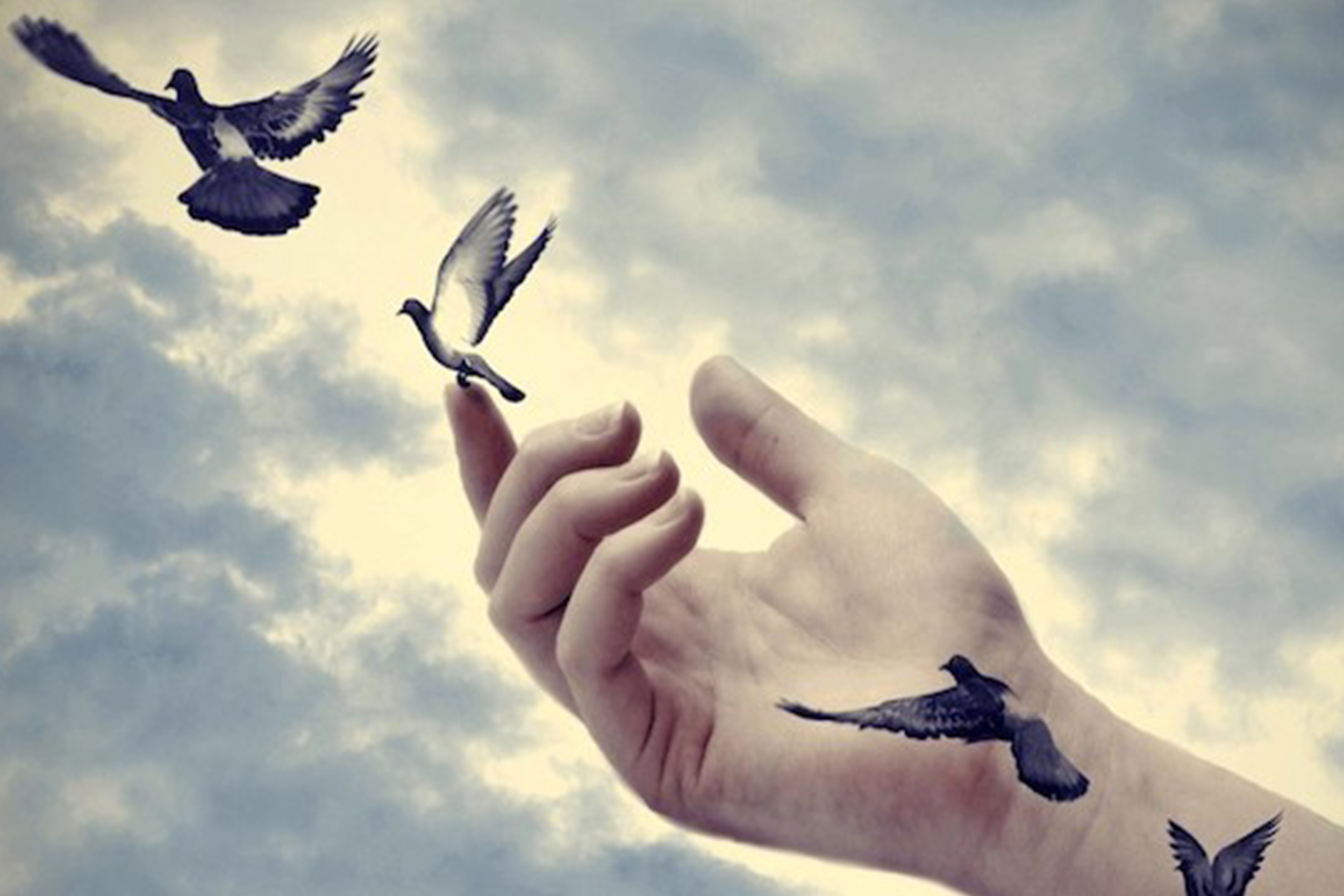 Let go